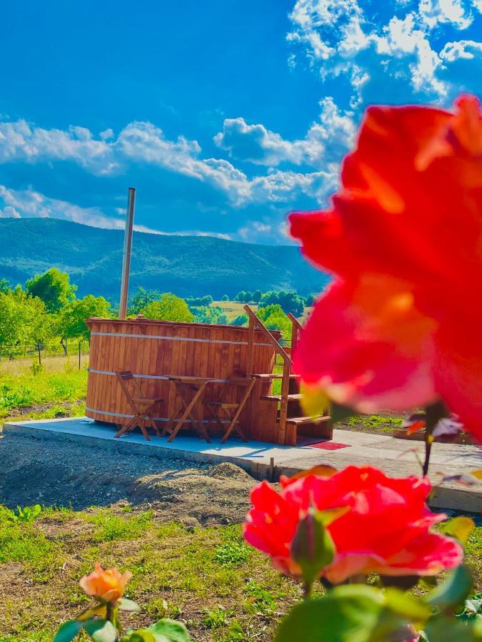 Casuta Din Livezi Holiday home Suceava