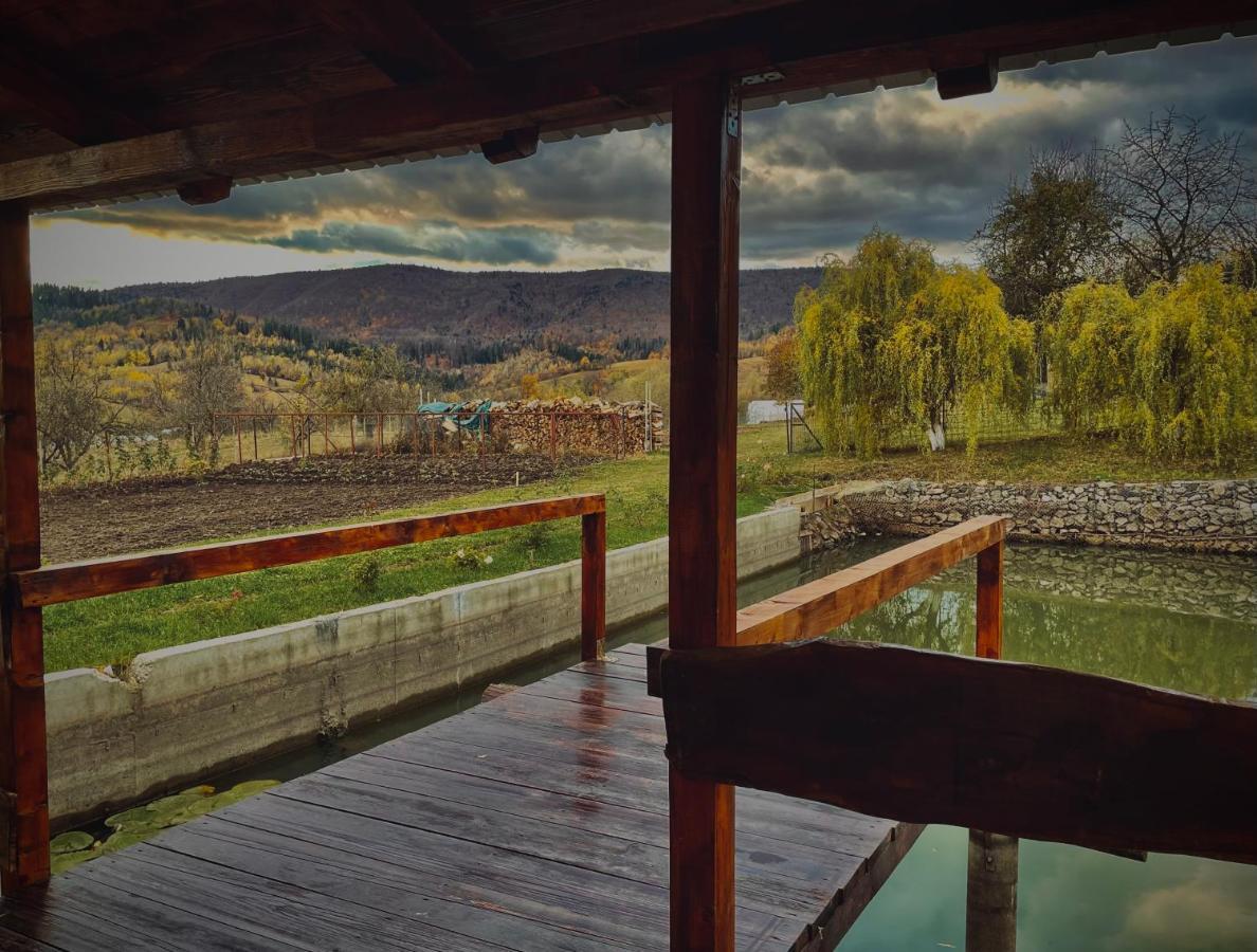 Casuta Din Livezi Holiday home *