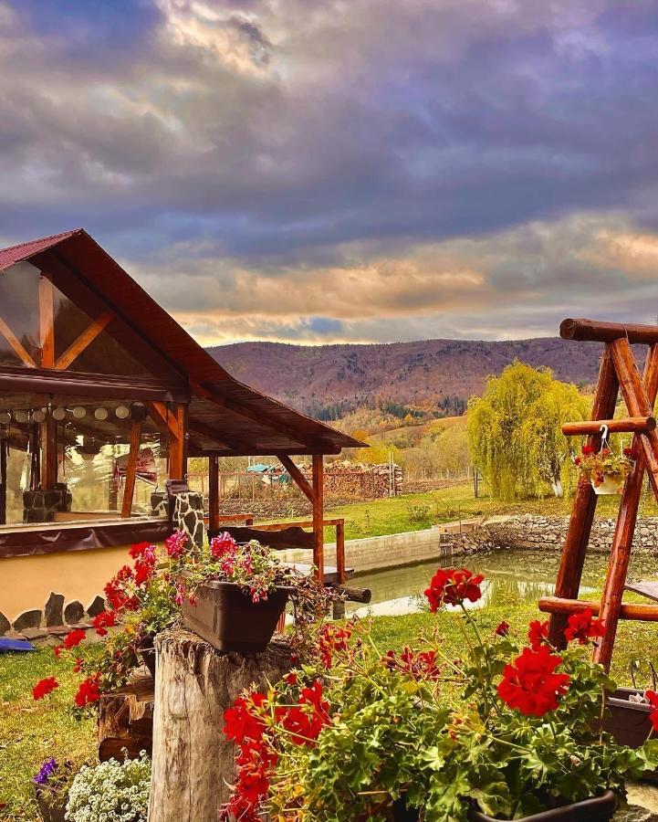 Casuta Din Livezi * Suceava