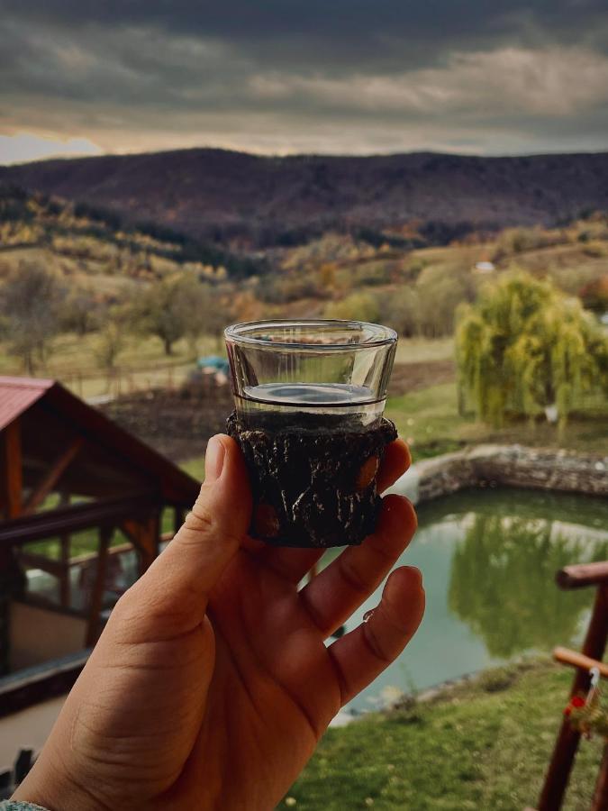 Casuta Din Livezi Holiday home Suceava