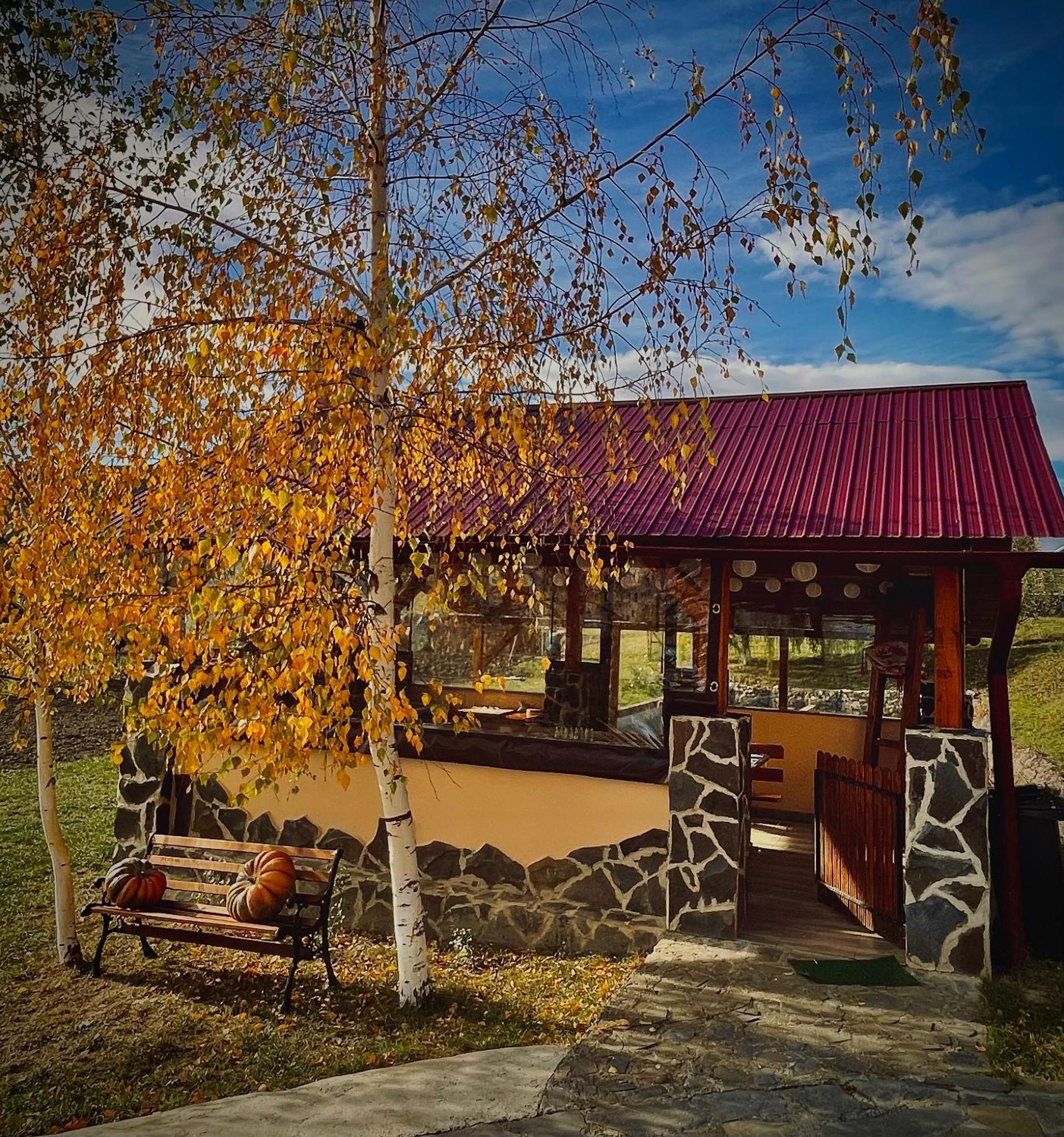 Holiday home Casuta Din Livezi Suceava